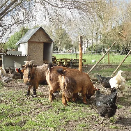 Les 2 Madeleine Bed & Breakfast Saint-Saturnin-du-Bois