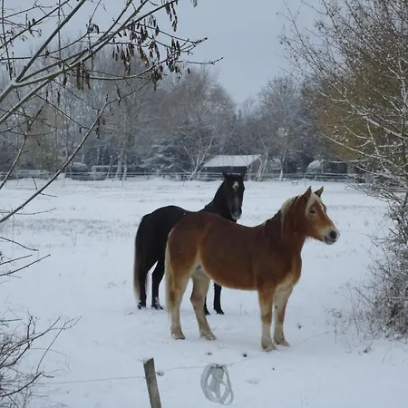 Bed & Breakfast Les 2 Madeleine Saint-Saturnin-du-Bois