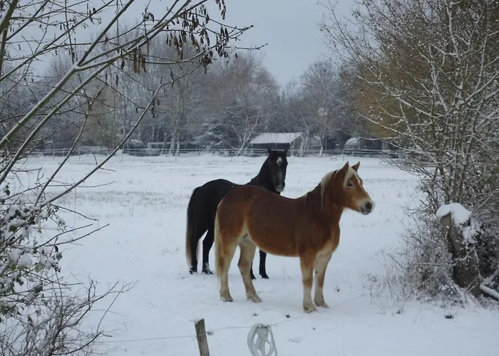 Bed & Breakfast Les 2 Madeleine Saint-Saturnin-du-Bois
